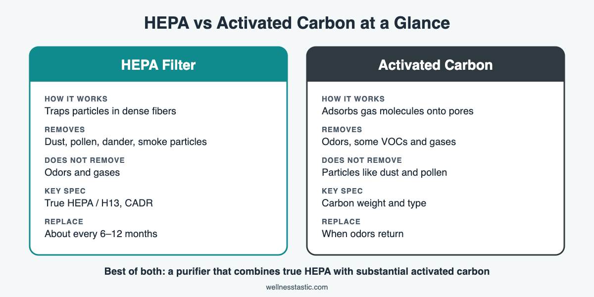 HEPA vs activated carbon filter comparison: particles vs gases and odors