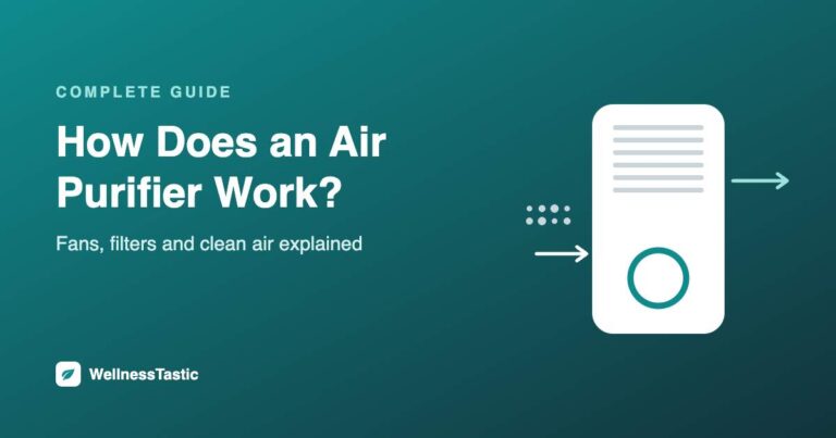How Air Purifiers Work