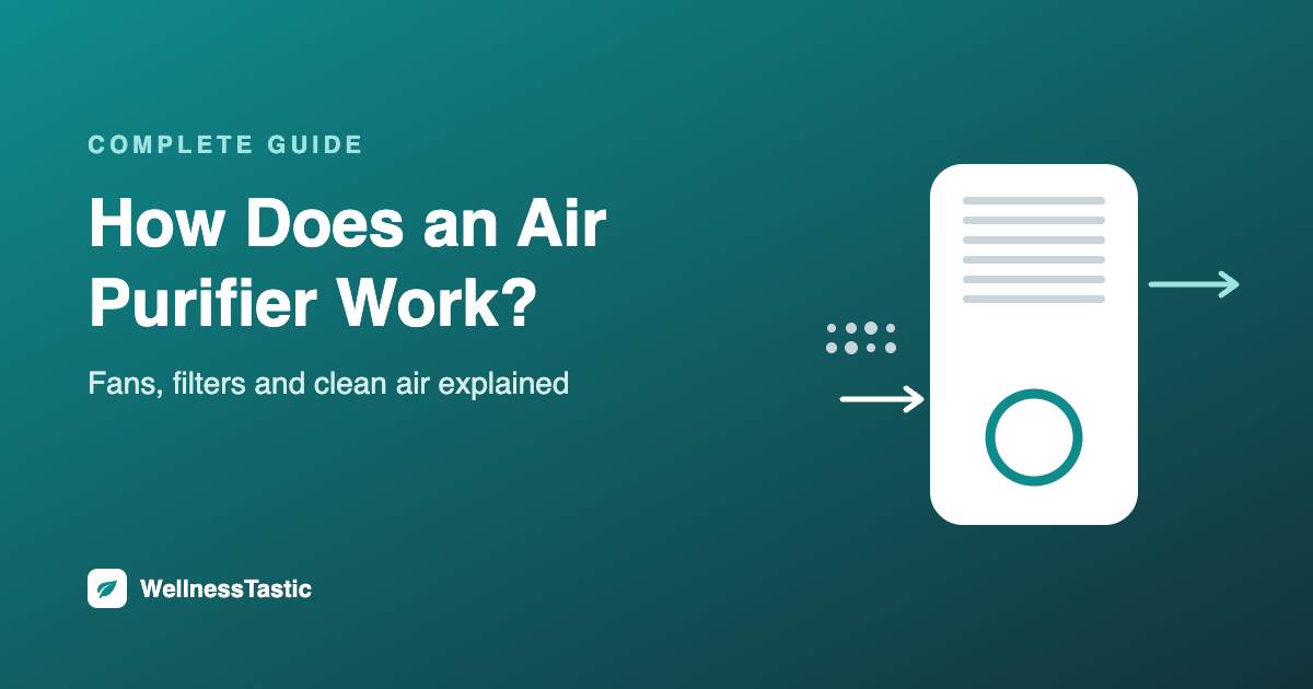 How does an air purifier work: airflow through pre-filter, carbon and HEPA filter
