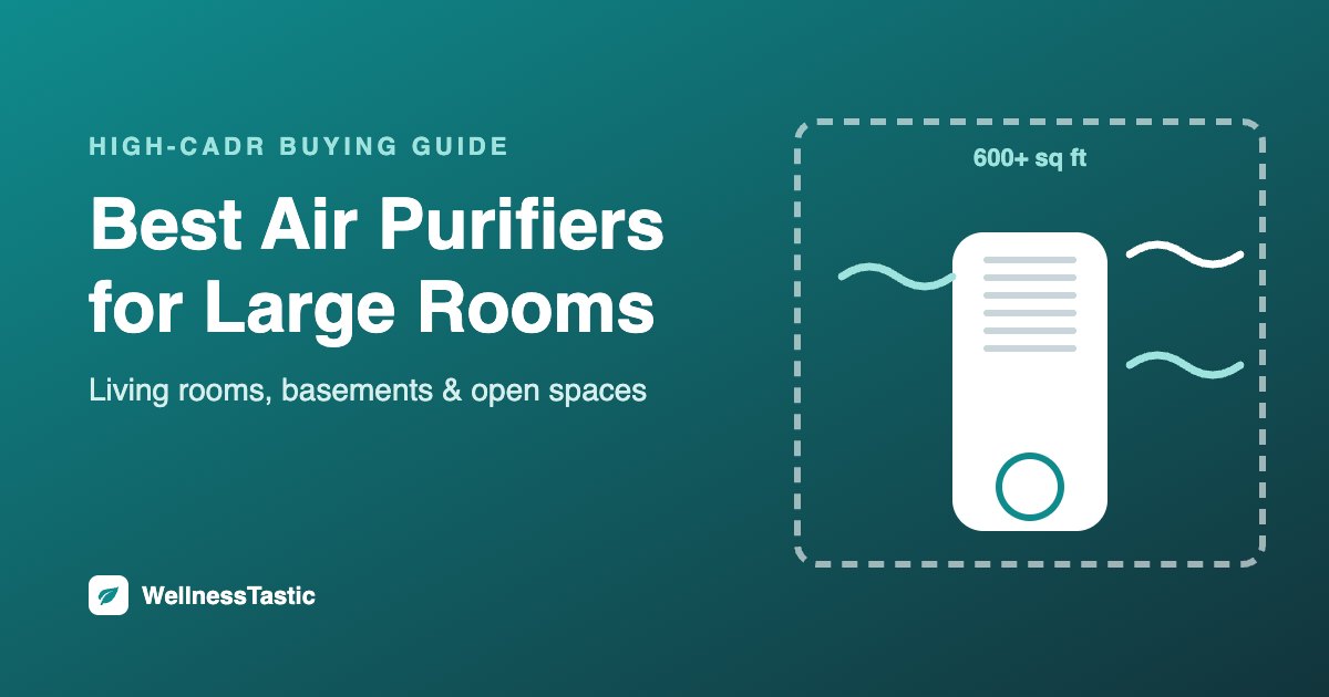 Best air purifiers for large rooms buying guide