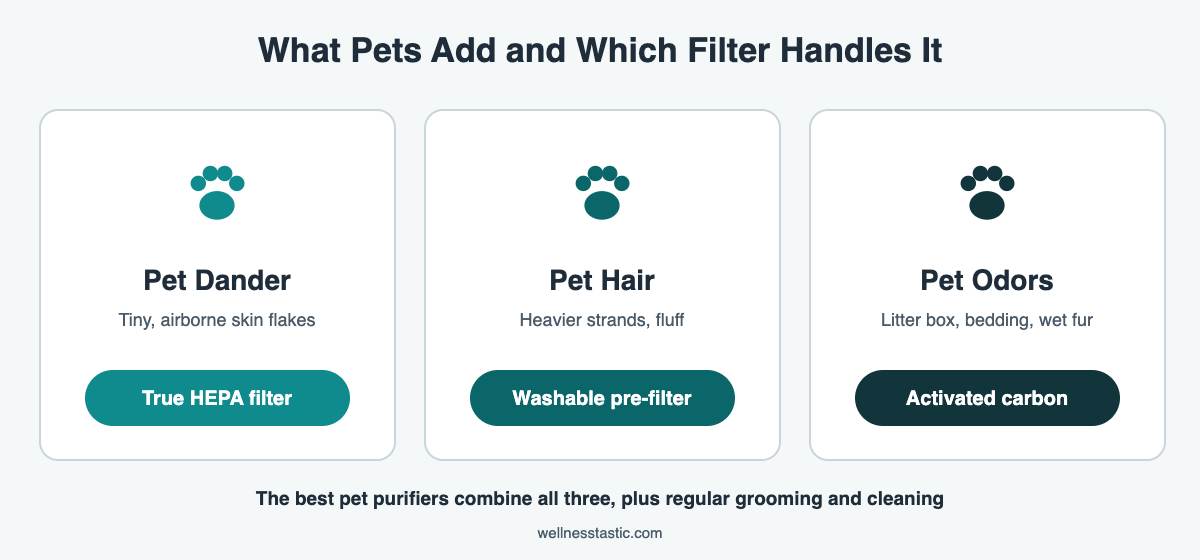 Best air purifier for pets: HEPA for dander, pre-filter for hair, carbon for odors