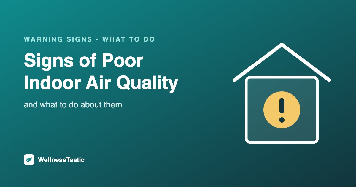 Signs of poor indoor air quality in the home and what to do